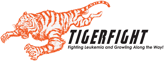 Tiger Fight Logo Fairy Godmother Sponsor