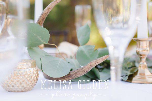 JEH Melisa Gilden Fairy Godmother Wedding