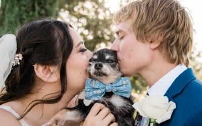 Meaningful Ways to Include Your Pet in Your Wedding